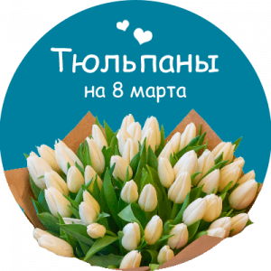 Купить тюльпаны в Лесосибирске